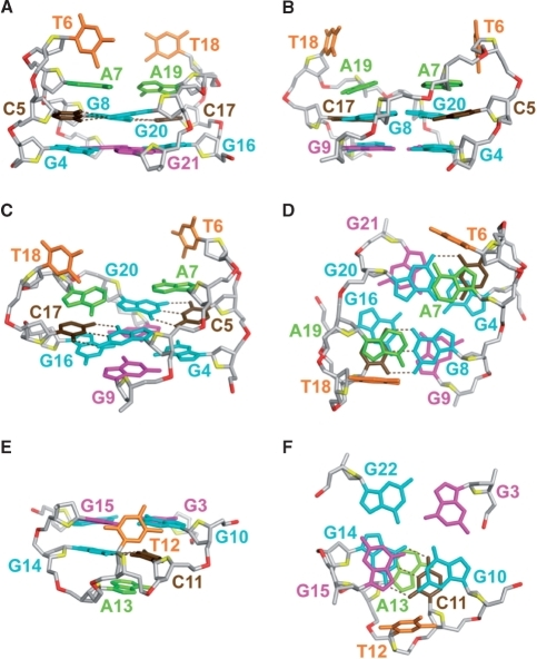 Detailed structure of the 22CTA G-quadruplex in K+ solu | Open-i