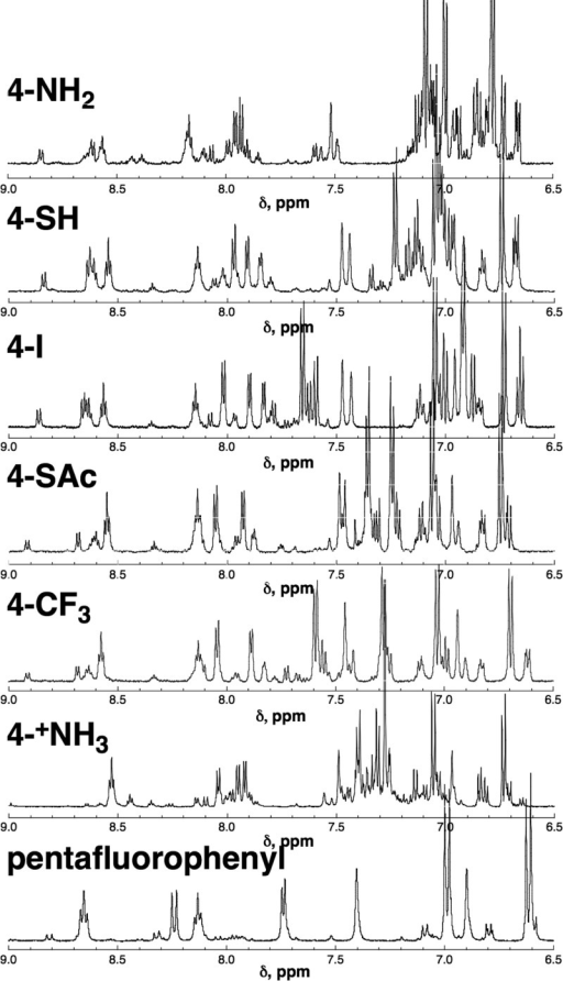 1h Nmr Spectra (amide–aromatic Region) Of Ac-gppxppgy 