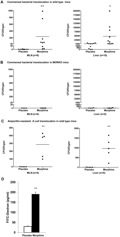 Ampicillin Iv Cost