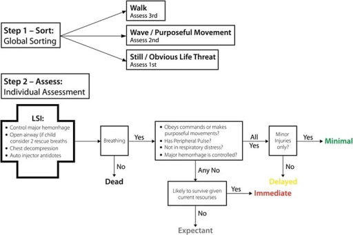 Salt Triage Diagram