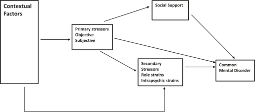 the-stress-process-model-open-i