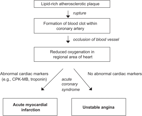 Pathophysiology of acute coronary syndrome.Abbreviation | Open-i