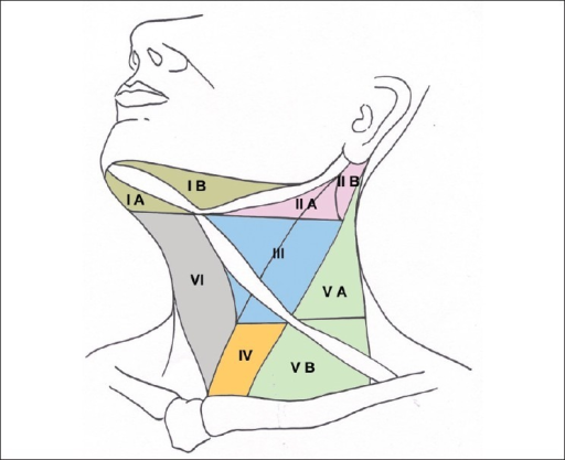 Diagrammatic Schema Of The Neck Showing Nodal Levels - vrogue.co