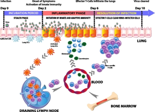 relationship-between-the-incubation-period-of-influenza-open-i