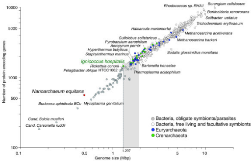 Relationship between the genome size and the number of | Open-i