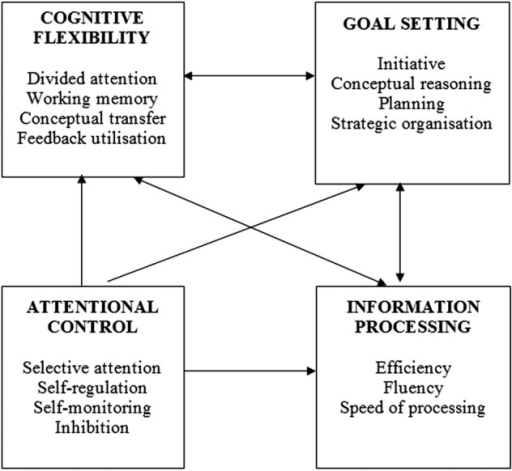 Model of executive function in children proposed by And | Open-i