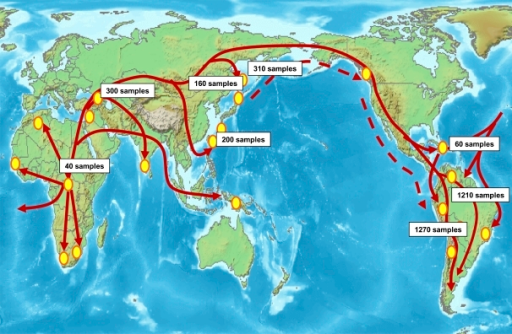 Hypothetical pathways of prehistoric human migration. R | Open-i