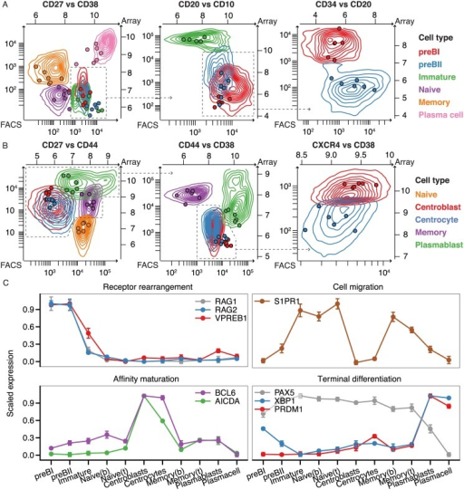 Isolation Of Human B-cell Subsets From Bone Marrow And | Open-i