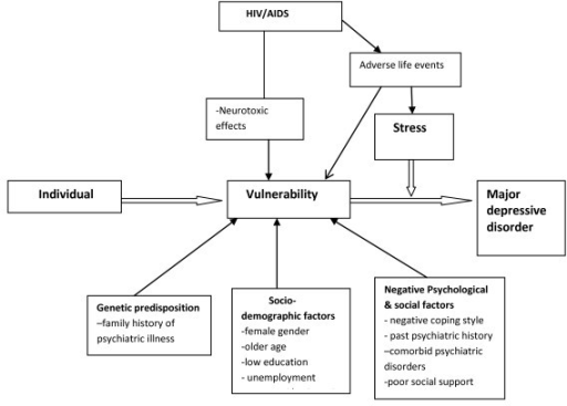 Conceptual Framework Based On The Stress Diathesis Mode