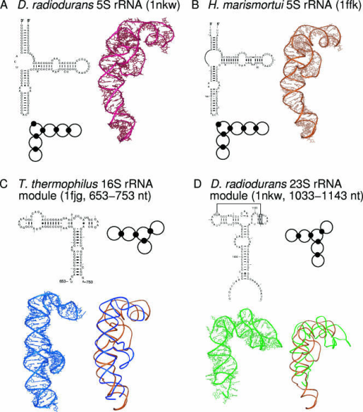 Comparison Of The Graph Topologies And 2D And 3D Struct | Open-i