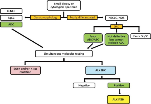 Diagnostic algorithm for molecular testing of small bio