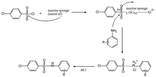 Mechanism of sulfonamides synthesis in the presence of | Open-i