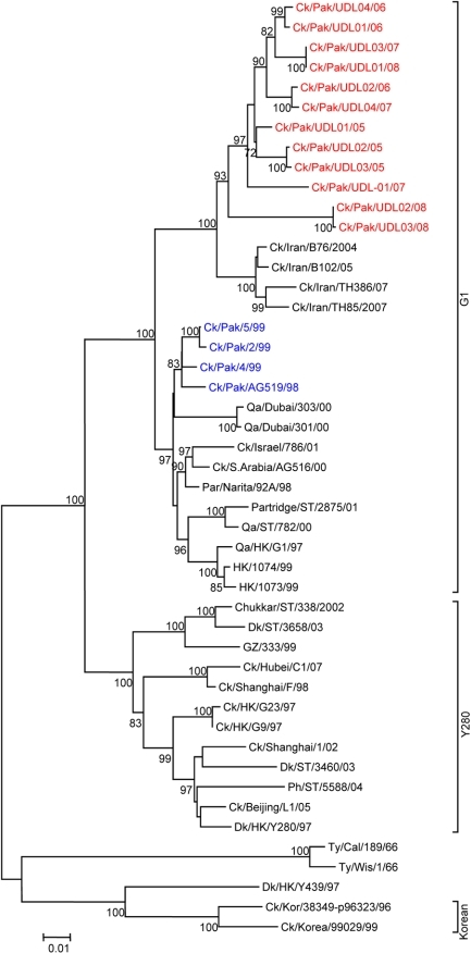 Phylogenetic relationships of HA genes of H9N2 avian in | Open-i