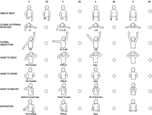 The Nath Modification of Mallet’s System [11]: Clinic | Open-i