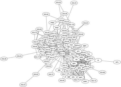 Network of protein protein interactions among Arabidops Open i