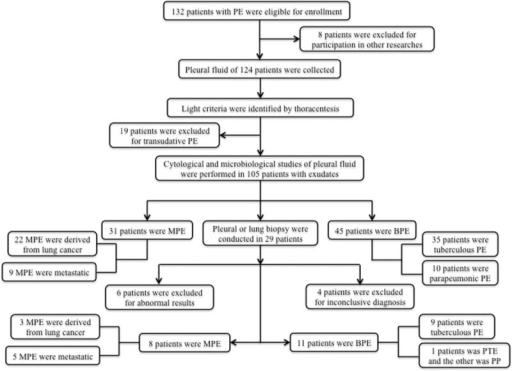 Study flow chart of enrolling patients. BPE = benig | Open-i