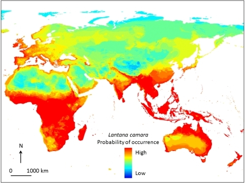 Which one of the following is important strategy for the conservation of biodiversity