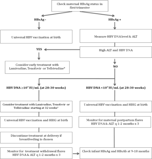 Algorithm For Prevention Of Perinatal Transmission Of H | Open-i