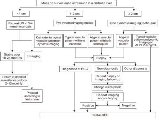 Diagnostic algorithm for hepatocellular carcinoma of Am | Open-i