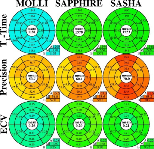 Bullseye plots comparing the native T1 times top row Open i