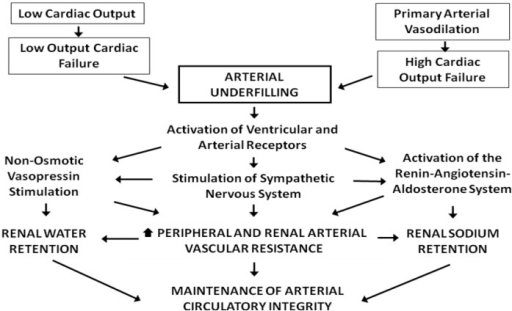 Pathogenesis of low and high cardiac output heart failu | Open-i