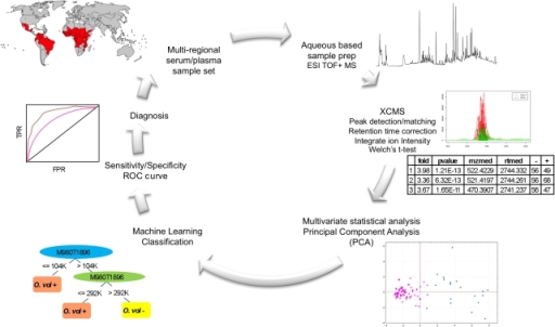 Schematic diagram of the LC-MS based metabolomic workfl | Open-i