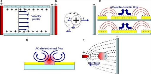 Electrokinetic Platform. (A) Schematic Of The Formation | Open-i