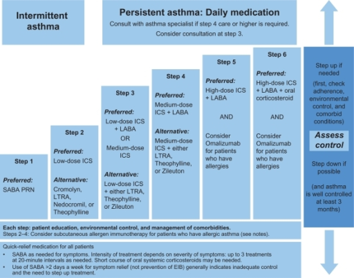 Stepwise Approach For Managing Asthma In Patients Aged Open I