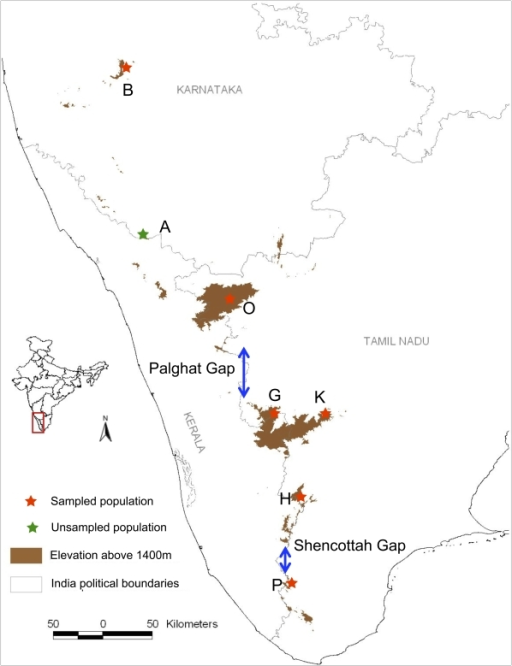 Image result for gaps in the western ghats