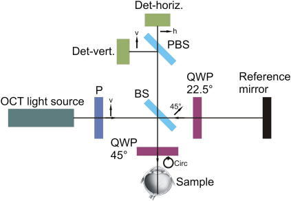 Schematic Diagram Of A Polarization Sensitive Optical C | Open-i