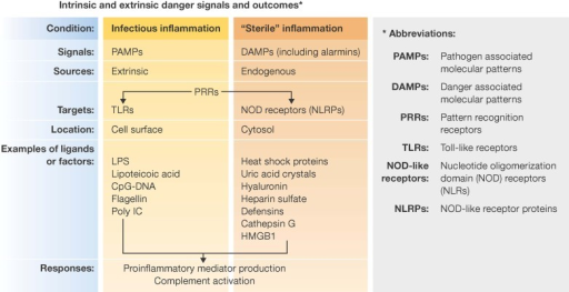 Intrinsic (DAMPs) And Extrinsic (PAMPs) Signals Develop | Open-i