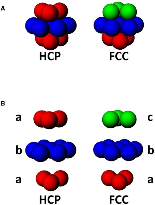 (A) Two Forms Of Close-packing Of Spheres, Hexagonal Cl | Open-i