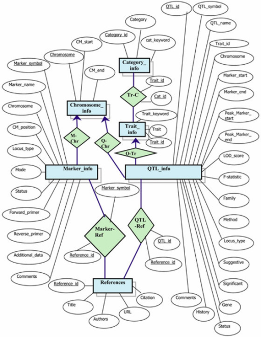 Entity-Relationship diagram of the integrated database. | Open-i
