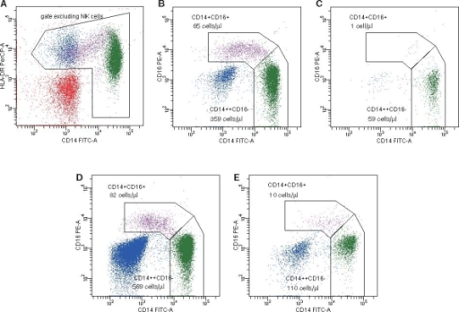 Analysis Of The CD14+CD16+ And CD14++CD16− Subpopulat | Open-i