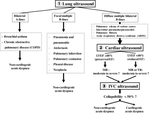 Algorithm For The Diagnosis Of Acute Dyspnea Based On T | Open-i