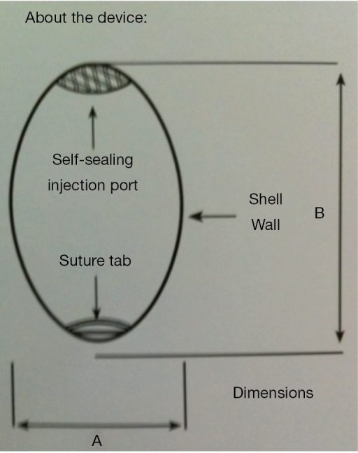 Measurement Dimensions For Sizing Saline Testis Prosthe Open I 
