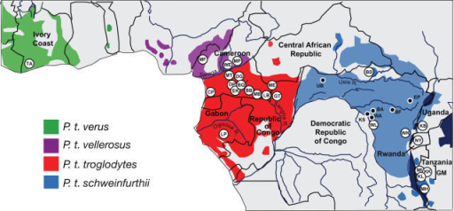 Location of wild chimpanzee study sites.Field sites are | Open-i