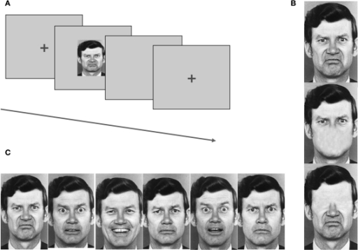 recognition of facial emotions using ldn pattern Facial expression recognition using a neural network ized as a problem of pattern recognition in human cog- facial expressions as emotional and. recognition of facial emotions using ldn pattern Facial expression recognition using a neural network ized as a problem of pattern recognition in human cog- facial expressions as emotional and.