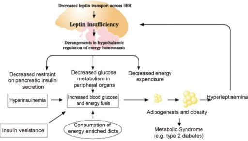 blood glucose regulation flowchart a flowchart of sequential events initiated by the consu blood glucose regulation flowchart a flowchart of sequential events initiated by the consu