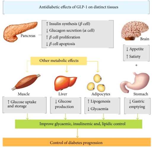 Antidiabetic insulin-dependent and insulin-independent | Open-i