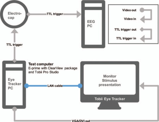 Eye Tracking Leader Tobii Pro Choose EIZOs Monitors for <br