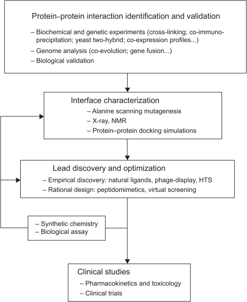 Flow-chart of the drug discovery process targeting prot | Open-i