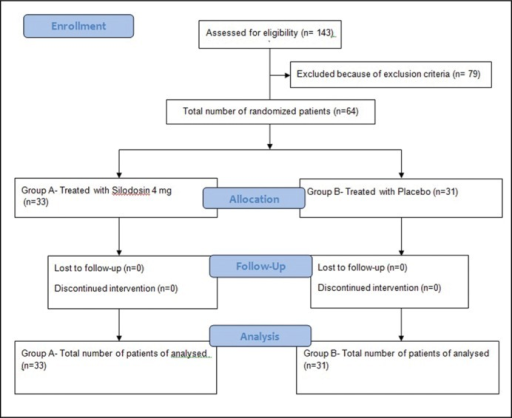 Participant flow diagram. Open i