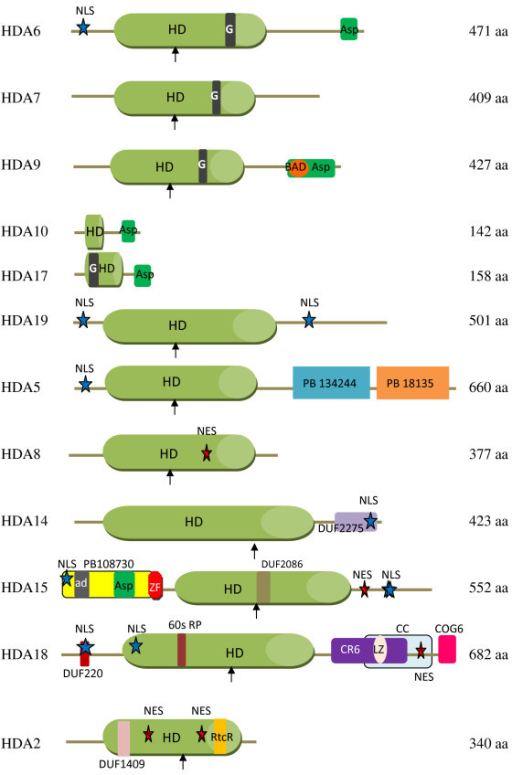 amino acid sequences indicators of evolution amino acid sequences indicators of evolution