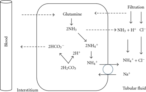 Дана схема превращений n2 x nh4 2so4 nh4cl