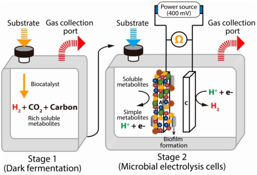 biohydrogen production using microbial electrolysis cell This study demonstrates microbial electrolysis cell biohydrogen production from sewage sludge using a continuous hydrogen fermentation system with a heat. biohydrogen production using microbial electrolysis cell This study demonstrates microbial electrolysis cell biohydrogen production from sewage sludge using a continuous hydrogen fermentation system with a heat.