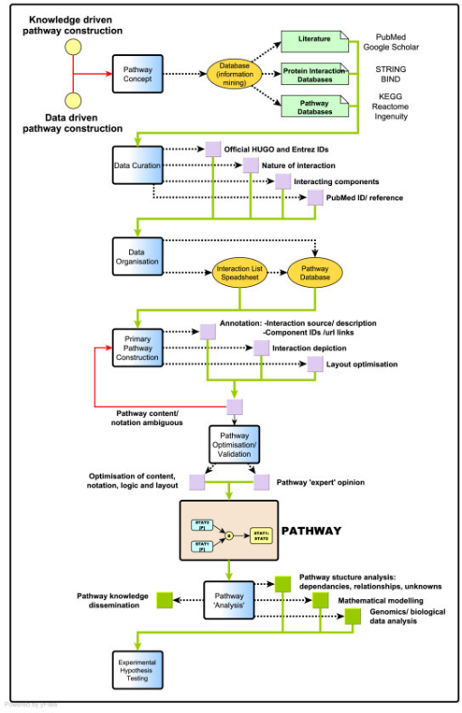 Pathway construction workflow. A workflow diagram summa | Open-i