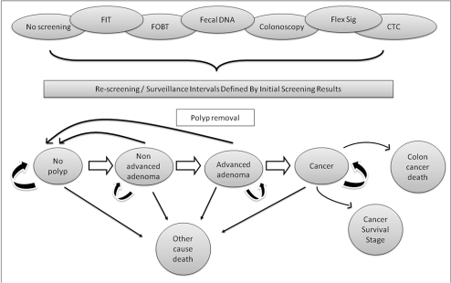 Hospital Bubble Diagram