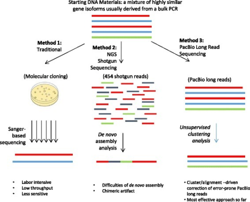 Comparison of three methods for gene isoform identification. Lines