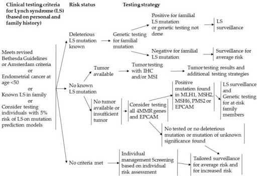 Screening for Lynch syndrome in the NCCN guidelines. EP | Open-i